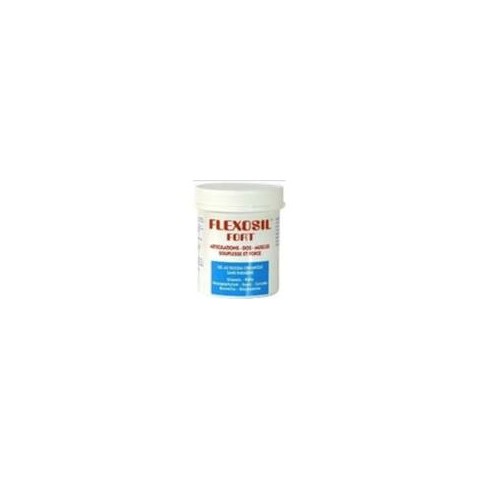 Flexosil Fort Phytonic (100 ml)